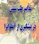 تدابیر طب سنتی ایرانی در پیشگیری از آنفلوانزا